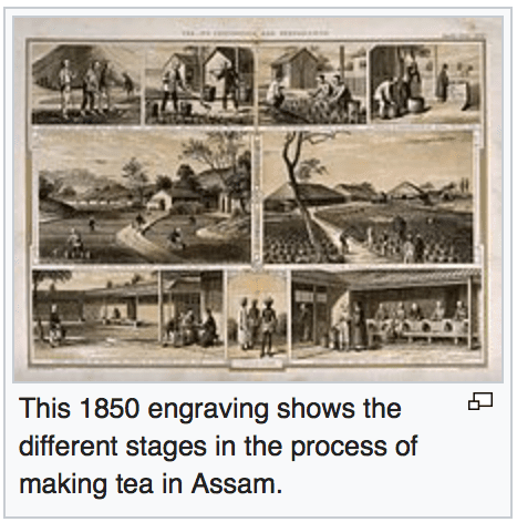 assam tea manufacture small